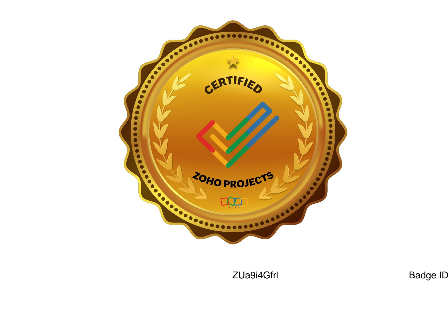 Certification Zoho Projects