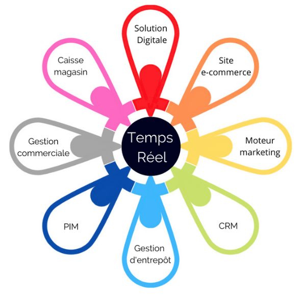 Système informatique schema