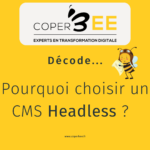 Pourquoi choisir le Headless pour mon site e-commerce?